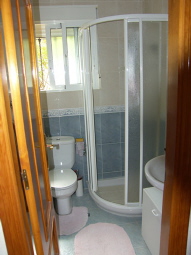 Downstairs Shower